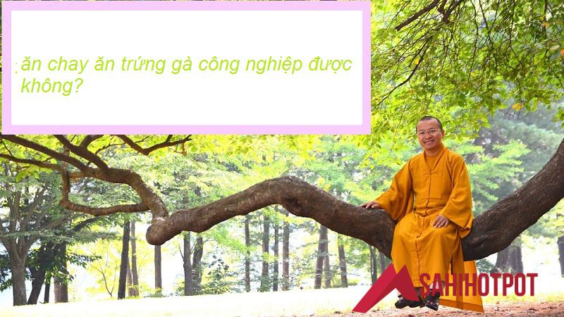 Ăn chay ăn trứng gà công nghiệp được không?
